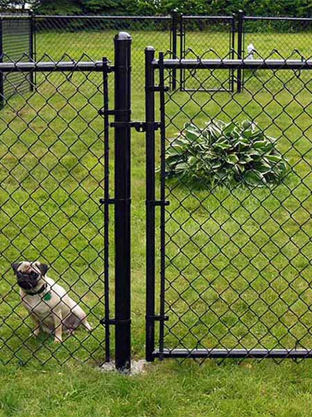 Chain link fence